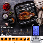 Digital insertion cooking / kitchen thermometer and for barbeque, gray color, model TG01